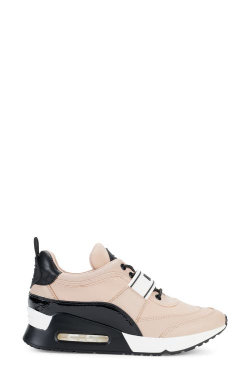 Shop Dkny Aislin Sneaker In Gold Sand/black