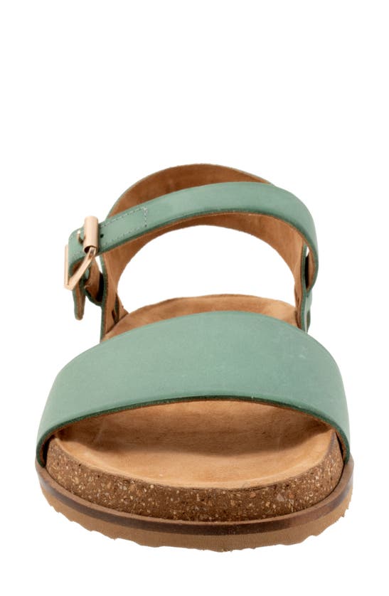 Shop Softwalk ® Upland Ankle Strap Sandal In Aqua