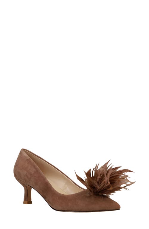 Shop Pelle Moda Kealie Pointed Toe Pump In Taupe