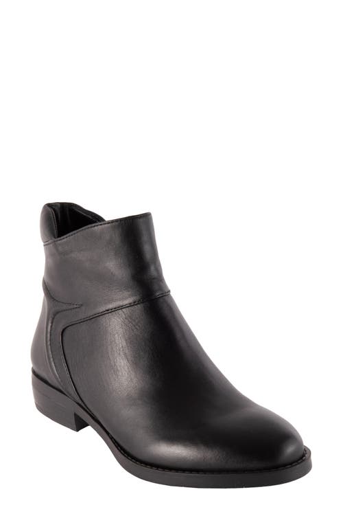 David Tate Ania Bootie in Black at Nordstrom, Size 10