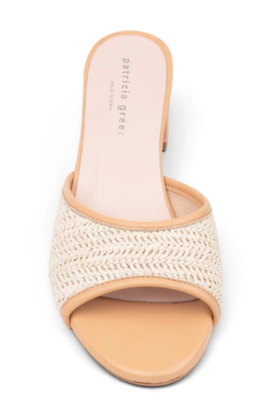 Shop Patricia Green Sienna Raffia Slide Sandal In Beige