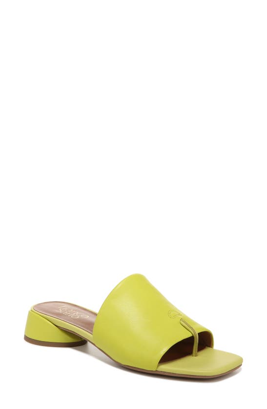 Franco Sarto Loran Slide Sandals Women's Shoes In Limeade Leather