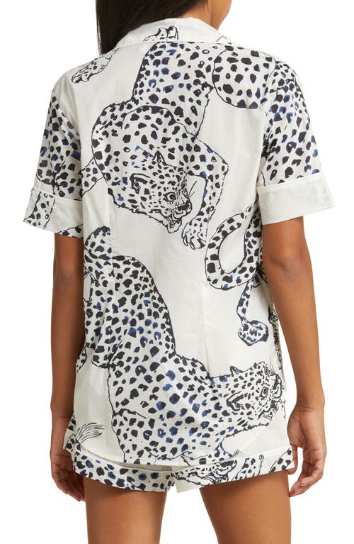 Shop Desmond & Dempsey Print Cotton Short Pajamas In Cream