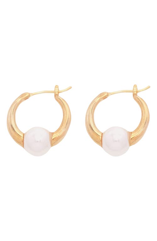 Remostias Imitation Pearl Huggie Hoop Earrings in Gold