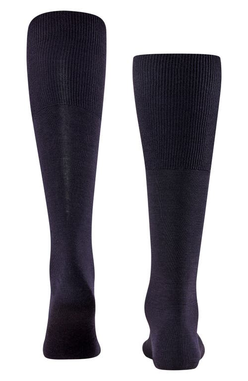 Shop Falke Airport Knee High Socks In Dark Navy