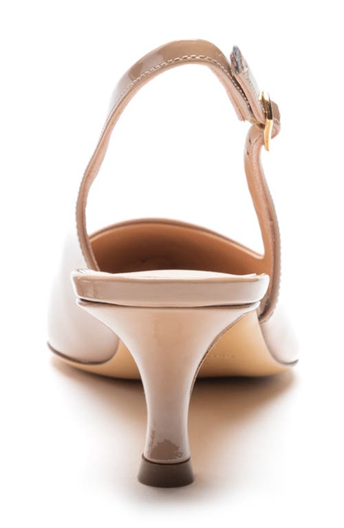 Bruno Magli Palerma Pointed Toe Kitten Heel Slingback Pump In Biscuit Patent