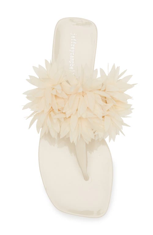 JEFFREY CAMPBELL JEFFREY CAMPBELL POLLINATE T-STRAP SANDAL 