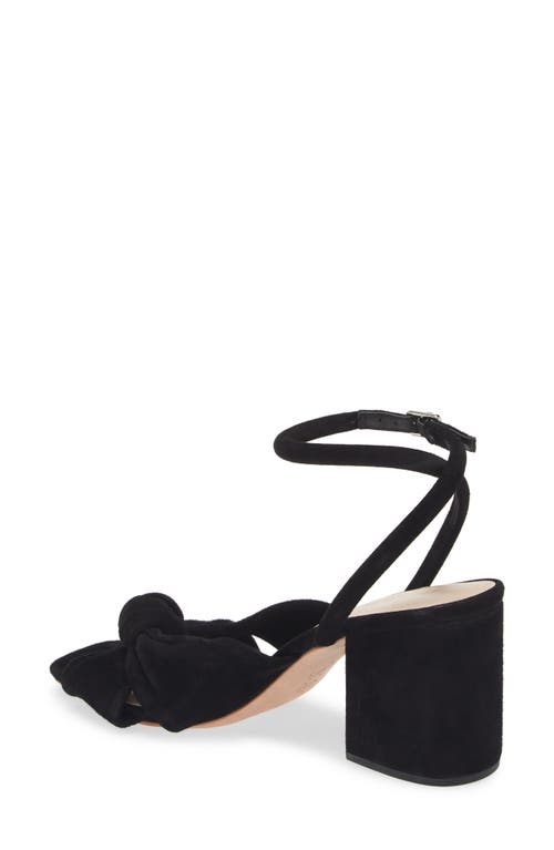 Loeffler Randall Fiamma Ankle Strap Sandal In Black