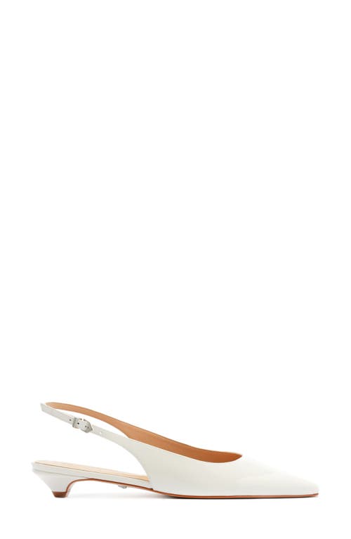 Shop Schutz Evan Pointed Toe Slingback Kitten Heel Pump In White