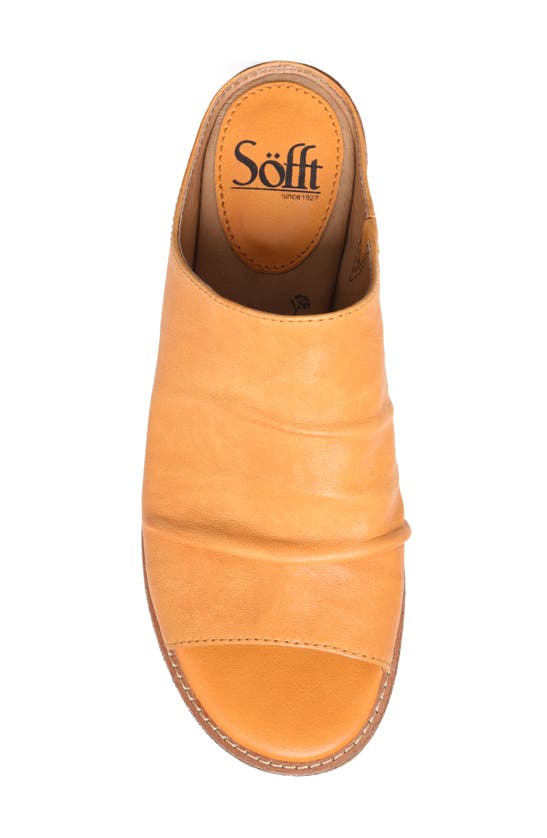 Shop Söfft Neetta Platino Slide Sandal In Mimosa