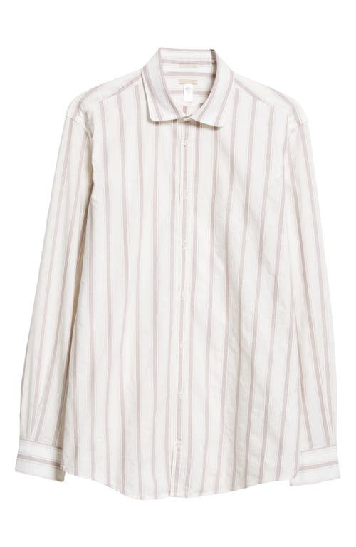 Shop Massimo Alba Canary Stripe Cotton Poplin Button-up Shirt In White/walnut