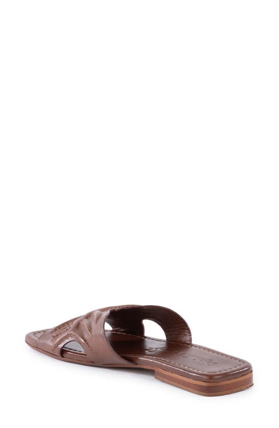Shop Seychelles Madhu Slide Sandal In Brown