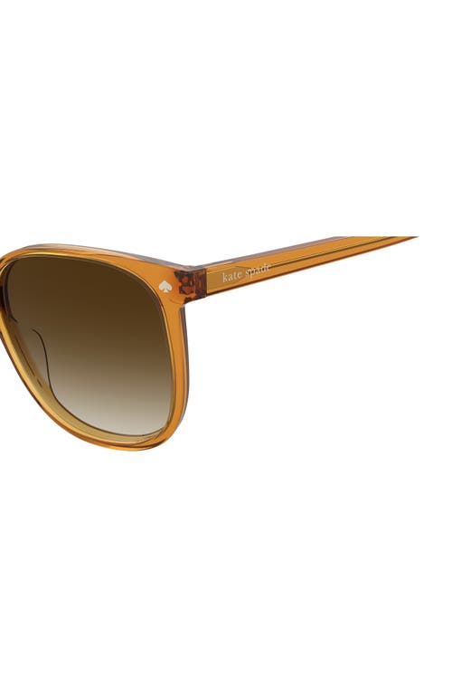 Shop Kate Spade New York Kailey 54mm Cat Eye Sunglasses In Honey Gold/brown Fuschia Ms