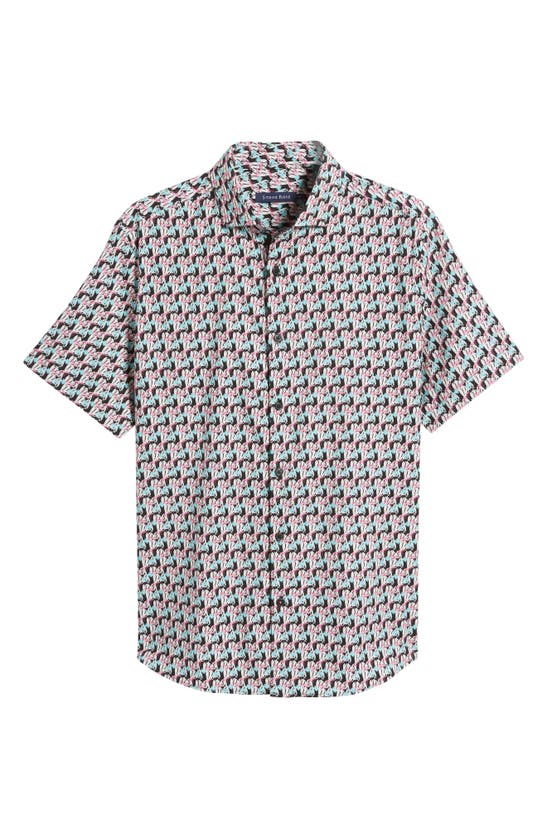 Shop Stone Rose Zebra Short Sleeve Trim Fit Button-up Shirt In Black
