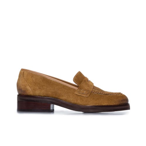 Shop Bernardo Footwear Tabitha Penny Loafer In Safari