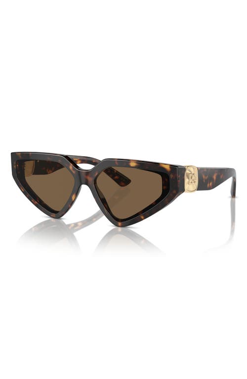 Shop Dolce & Gabbana Dolce&gabbana 59mm Butterfly Sunglasses In Havana