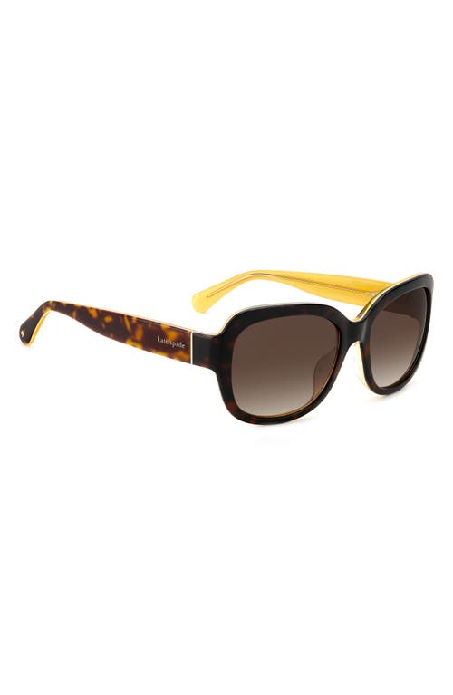 Shop Kate Spade New York Laynes 55mm Gradient Sunglasses In Havana Yellow/brown