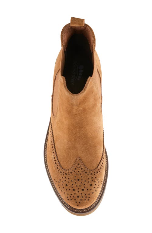 Shop Spring Step Tenny Wingtip Chelsea Boot In Tan Suede