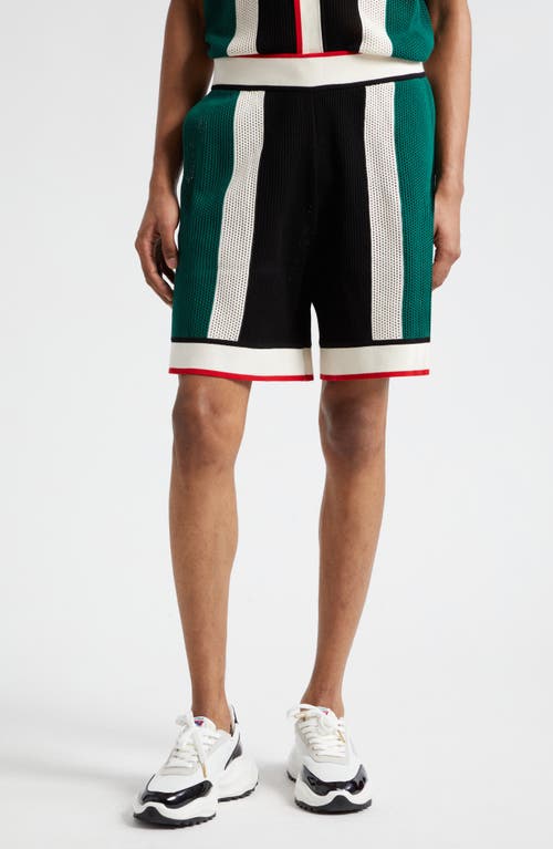 Casablanca Stripe Cotton Knit Shorts In Green/white Stripe