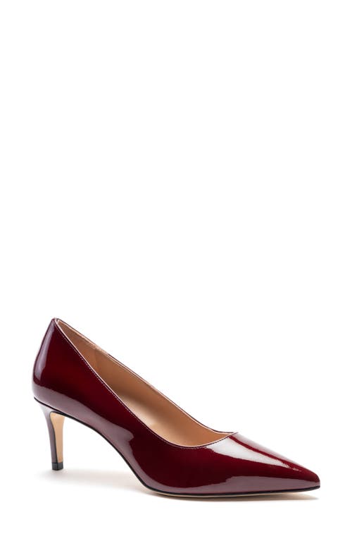 Shop Bruno Magli Tara Pointed Toe Pump In Bordeaux Patent