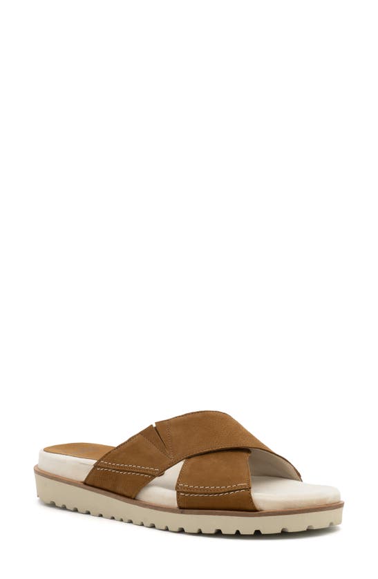 Amalfi By Rangoni Barolo Platform Slide Sandal In Brown