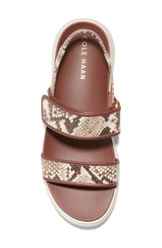 Shop Cole Haan Zerogrand Meritt Sandal In Sndlr Snake
