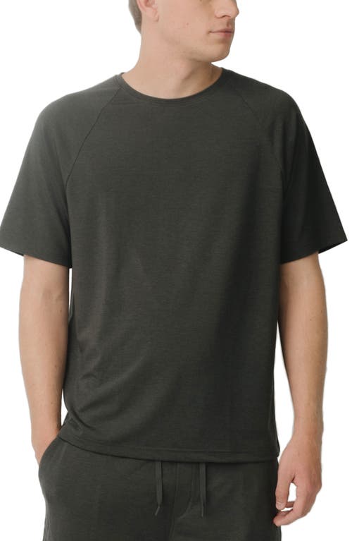 Ultrasoft Raglan T-Shirt in Charcoal