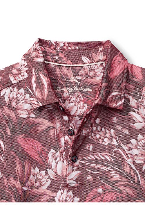 Shop Tommy Bahama Midnight Excursions Floral Piqué Polo In Cherry Stone