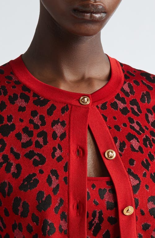 Shop Versace Animalier Leopard Jacquard Crop Cardigan In Lipstick Red