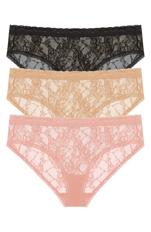 Natori Bliss Allure Lace 3-Pack Girl Briefs in Black/Cafe/Rose at Nordstrom
