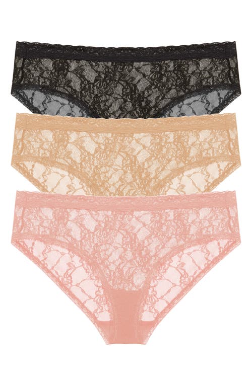Natori 3-pack Lace Girl Briefs In Black/cafe/rose