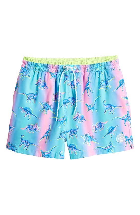 Shop Chubbies Magic Swim Trunks In The Dino Delights
