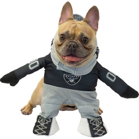 Las Vegas Raiders Sports Fan Pet Accessories