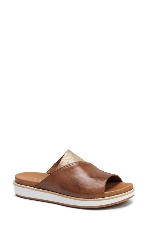 Codi Sandal in Teak Leather