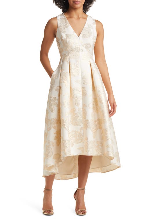 Floral Jacquard Metallic Fit & Flare Dress in Champagne