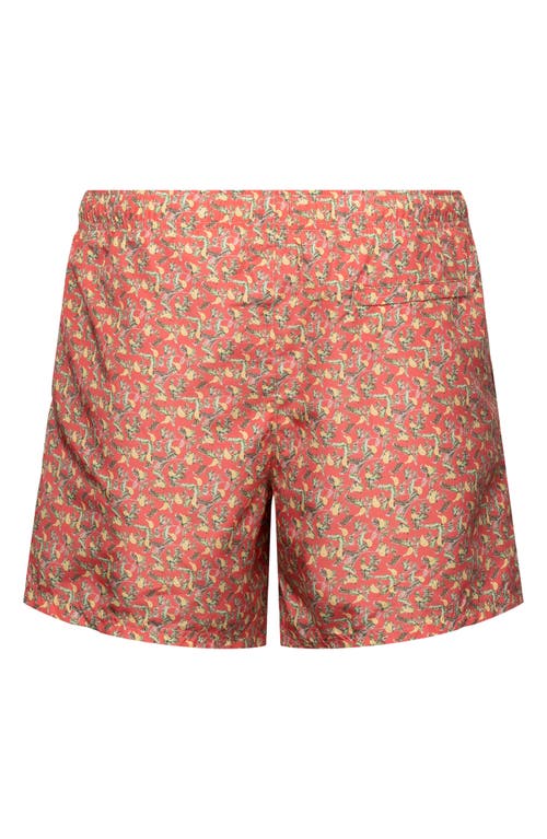 ETON ETON BANANA PRINT SWIM TRUNKS 