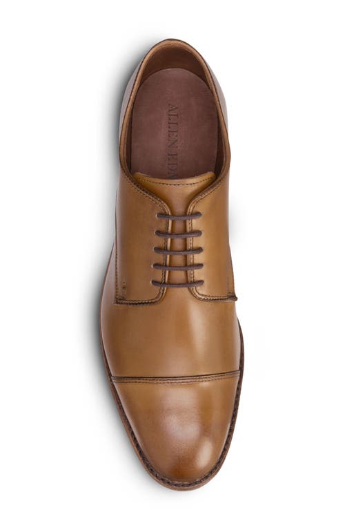 Shop Allen Edmonds Park Avenue Derby In Walnut