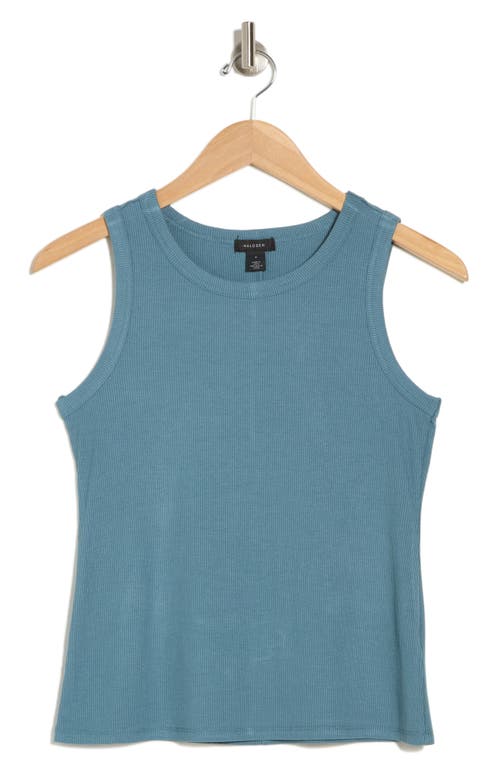 Halogen ® Fitted Ribbed Tank Top In Blue Tapestry