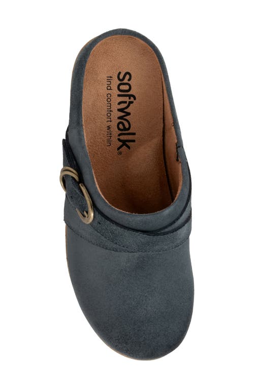 Softwalk ® Asmara Platform Mule In Smoke Suede