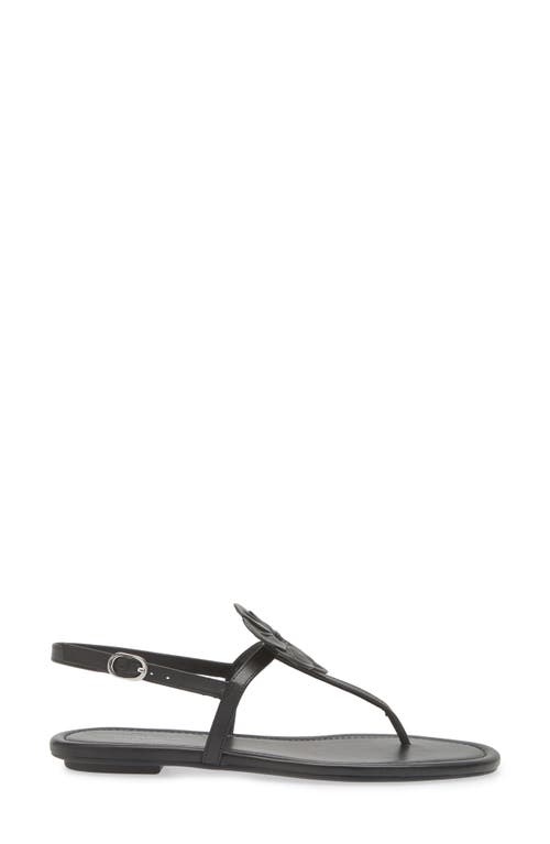 Stuart Weitzman X Sandy Liang T-strap Slingback Sandal In Black Smooth Calf