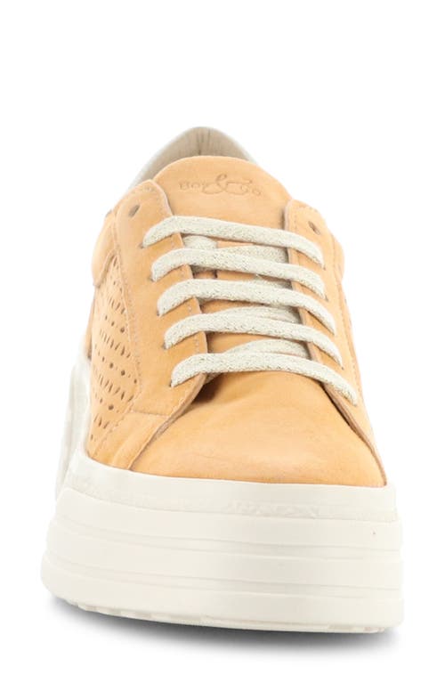 Shop Bos. & Co. Lotta Platform Sneaker In Tangerette/marfil