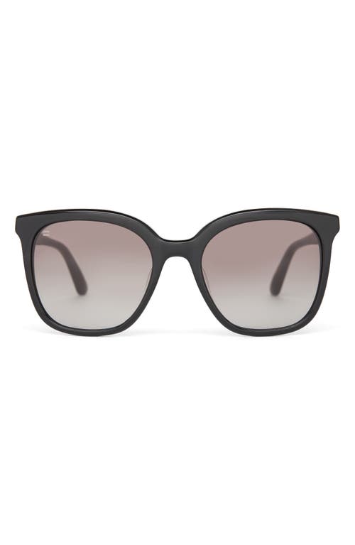 TOMS Charmaine 54mm Square Sunglasses in Shiny Black/Dark Grey 