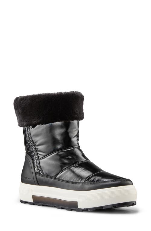 Cougar Wizard Waterproof Snow Boot in Black at Nordstrom, Size 9