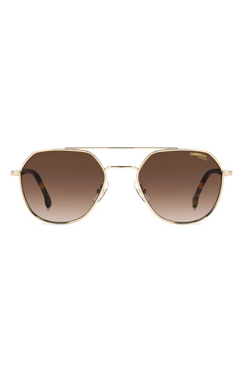 Carrera Eyewear 53mm Round Sunglasses in Gold Havana/Brown
