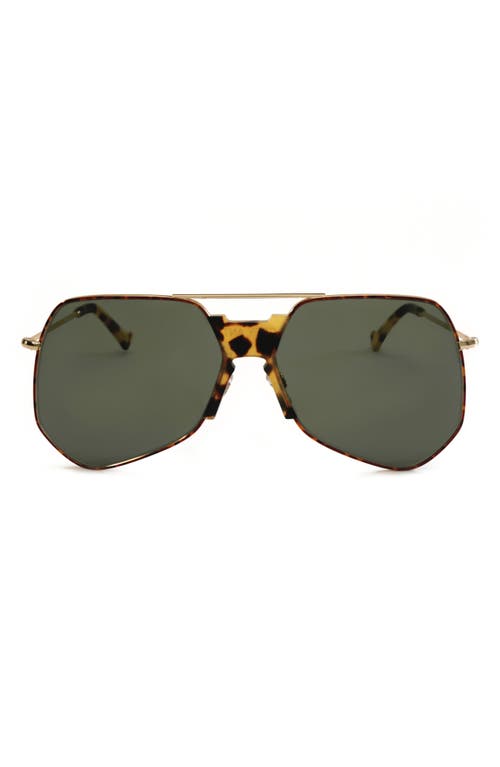Goste 58mm Aviator Sunglasses in Gold/Green