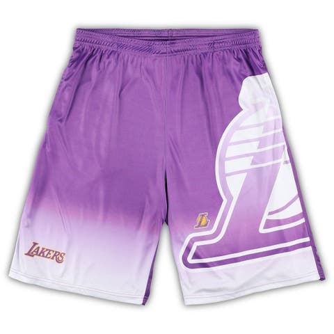 Men's Mitchell & Ness Purple Los Angeles Lakers Big & Tall Hardwood  Classics Jumbotron Shorts 