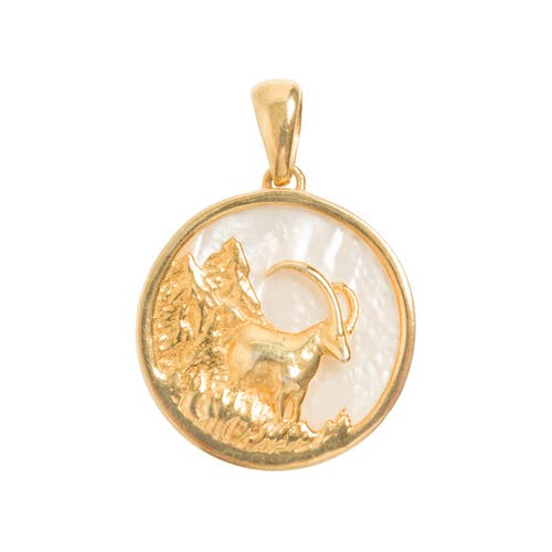 Freya Rose Zodiac Pendant In Capricorn
