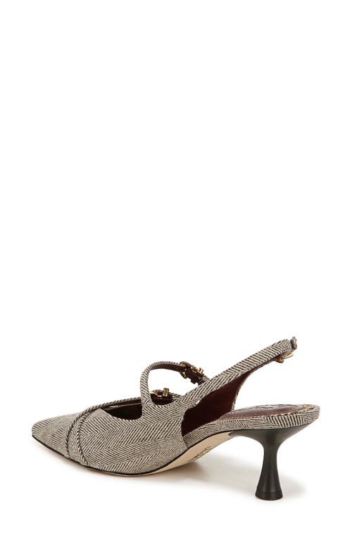 Shop Circus Ny By Sam Edelman Fraya Slingback Pointed Toe Pump In Brown/natural