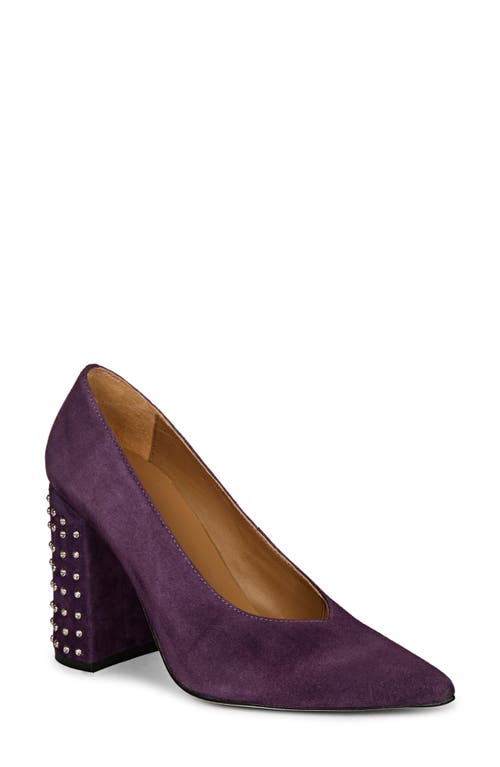 Pamina Pointed Toe Pump in Purple