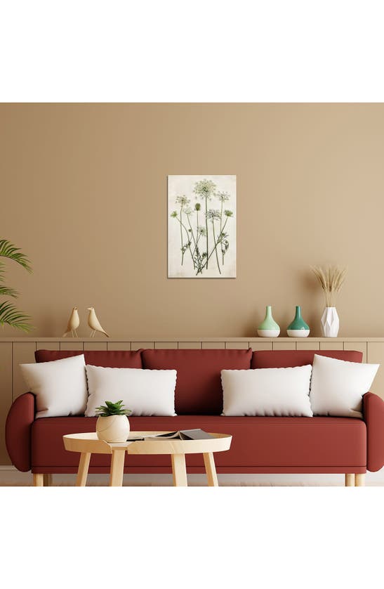 Icanvas Queen Annes Lace By Debbra Obertanec Canvas Wall Art In White-multi